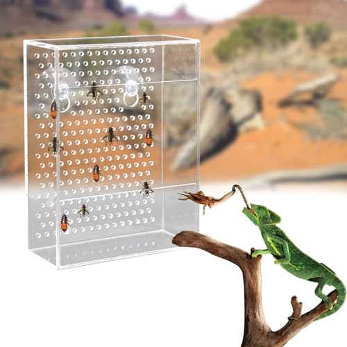 Bearded Dragon Feeder, Chameleon Bug Bowl, Transparentk Acrylic Reptile Feeder Box, Wall-Mounted Insect Food Dish with Suction Cups, Tank and Aquarium Accessories for Lizard Bearded Dragon Gecko Frog - size: Small - 4.7 × 1.7 × 6.3 inch