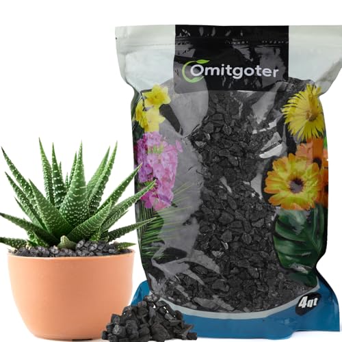 Horticultural Charcoal 4qt for Plants, Actived Charcoal Terrarium Supplies, Suitable for Indoor Plants, Succulent, Orchid, Cactus, Bonsai - color: Horticultural Charcoal, size: 4qt