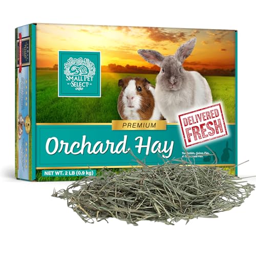 Small Pet Select Orchard Grass Hay Pet Food, 2 lb.