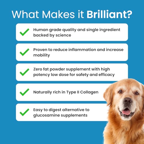 Brilliant Bone & Joint Supplement for Dogs - High Strength Calcium & Collagen Powder for Joint & Hip Support, Essential Supplement for Dog’s of All Ages - 10.6 Oz