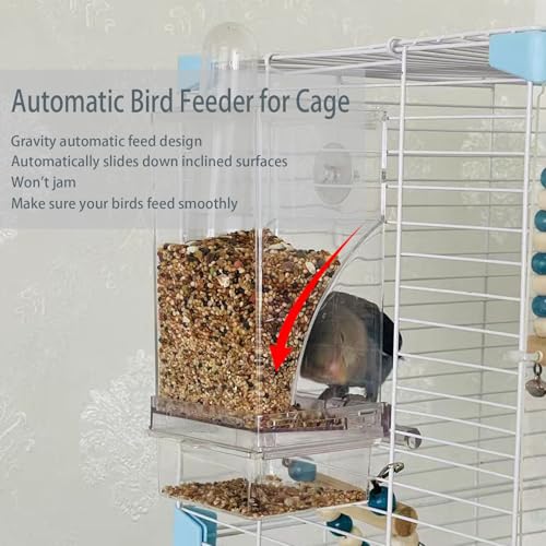 No Mess Bird Feeder Water Dispenser Set Automatic Transparent Parrot Feeder | Acrylic Parrot Food Container Drinker Cage Accessories for Small Birds Parakeet Canary Finch Cockatiel Lovebirds - color: Green