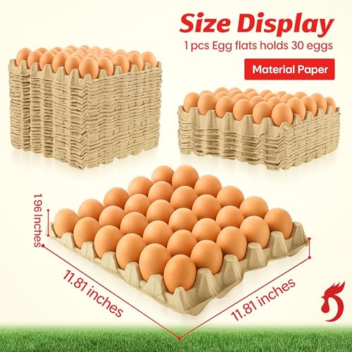 Economy Egg Cartons Bulk - 30 Cell Pulp Fiber Egg Flats for Chickens & Ducks - Reusable Stackable Cardboard Tray for Home Storing & Packing (65)