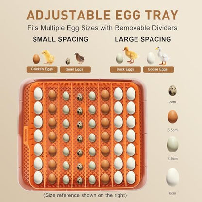 Nest IV - 56 Egg Incubator for Breeders, Fully Automated, Accurate Humidity & Temp Control, Chick Separator, Flexible Egg Spacing, Custom Incubation Days, Auto Turning & Auto Stop, Easy Monitoring - size: 56 Egg [Gray]