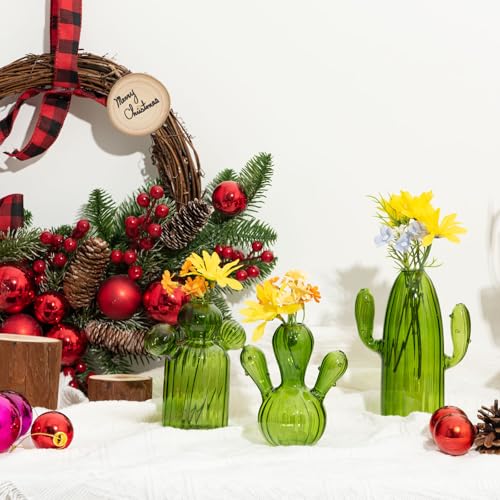 XXXFLOWER Cactus Plant Propagation Station 3 Cactus Vase Terrarium Jars | Desk Plant Cuttings Plant Holders Unique Glass Flower Vase for Hydroponics Plants for Plant Lovers Home Garden Decor - size: 3PCS Cactus Vase