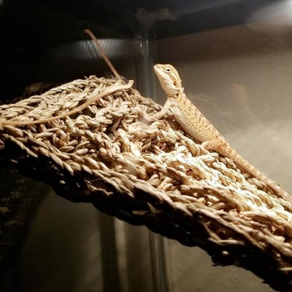 2Pcs Reptile Hammock for Bearded Dragon Climbing Bridge Tank Accessories | Large Bearded Dragon Hammock, 2 Pcs Reptile Climbing Bridge, Lizard Tank Accessories for Chameleon Hermit Snake Habitat Decor - style: 1 Rectangle + 1 Square