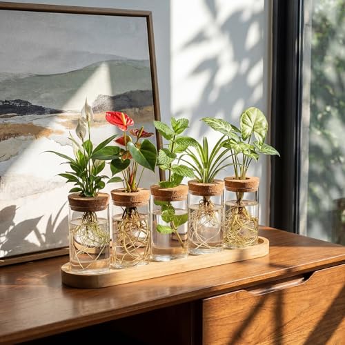 Zhehao 5 Pack Plant Propagation Station Hydroponic Glass Jar Terrarium with Cork Lids Bamboo Tray Desktop Planter for Rooting Cuttings Home Office Garden Decor