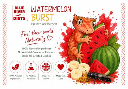 Blue River Diets Crested Gecko Diet | Watermelon Burst | All Natural Low Fat Complete Gecko Food | 2.1oz