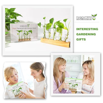 Plant Propagation Station, 10 Glass Test Tube with Wooden Stand | Plant Terrarium for Hydroponics Plants Office Decor Unique Gardening Gifts for Women Plants Lovers - size: 10 Test Tube