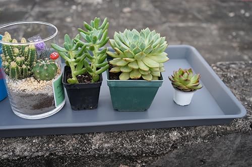 VUWEZ Rectangle Plant Tray, Plant Drip Tray, Plant Pot Saucers, Plant Germination Trays, Plant Saucers, 11'' x 9'' x 1.2'' (2 pack), Gray - color: Gray, size: 11'' x 9'' x 1.2'' (2 pack)