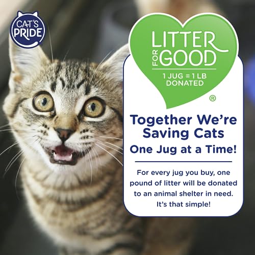 Cat's Pride Natural Lightweight Hypoallergenic Clumping Litter 10lb