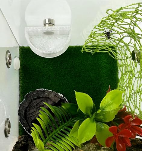 2 PCS Jumping Spider Feeding Dish, Tiny Food Dishes Water Dish with Tweezers，Eyedropper and Cleaning Brush for Jumping Spider, Tarantula and Other Small Pets, Half Round