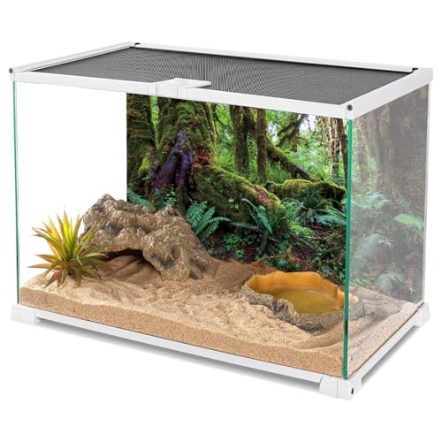 60x24 in Terrarium Backdrop Rainforest Moss Tree Reptile Habitat Background | AWERT Green Tropical Forest Polyester Aquarium Background - size: 60x24in/150x60cm