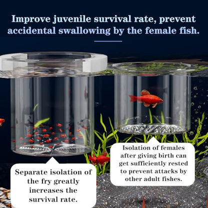WEAVERBIRD Aquarium Breeder Box, Fish Breeding Box, Acrylic Breeder Isolation Divider Hatching Boxes, Floating Incubation Box, Round Isolation Hatchery Feeding Boxes for Small Fish Fry Hatchery - size: Round