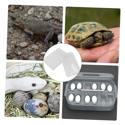 20grids Egg Incubator for Reptiles Hatching Box Incubator Reptile Breeding Box Visible Design