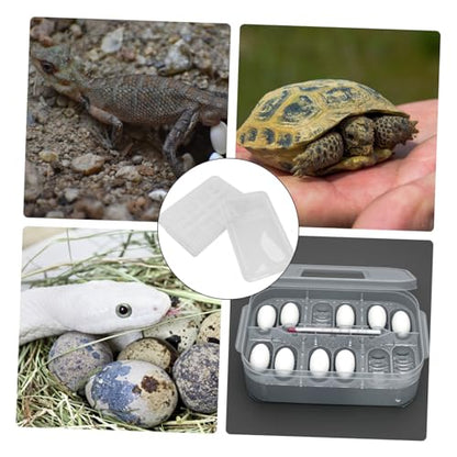 20grids Egg Incubator for Reptiles Hatching Box Incubator Reptile Breeding Box Visible Design