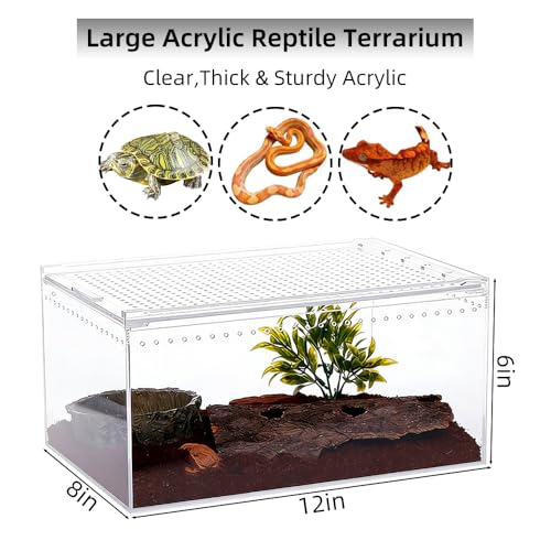 Acrylic Reptile Enclosure, No Assembly Small Reptile Breeding Box for Insect Tarantula Hermit Crab Jumping Spider (12x8x6 in) - size: 12x 8x 6 inch