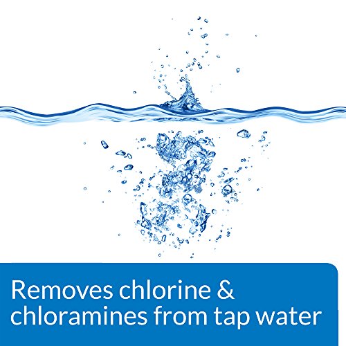 API TAP WATER CONDITIONER Aquarium Water Conditioner 16-Ounce Bottle - color: White, size: 16 oz