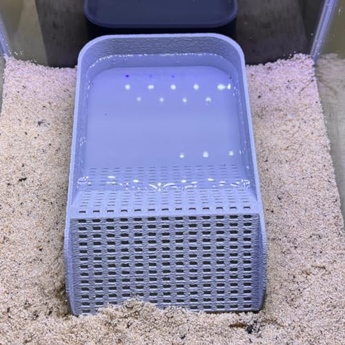 Hermit Crab Watering Pool | Platform Pool Accessory with Access Ramp for Hermit Crabs | 6.5" x 4" | Made in USA (Salt Only, Gray) - color: Salt Only, Gray