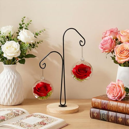 WRINGKIT 4 Pack Ornament Display Hanger Stand, Wood Base, Double Hook-Style | Sturdy Ornament Holder, Metal Air Plant Flower Pot Hanging Terrarium Stand for Christmas Halloween Decoration, Glass Globe