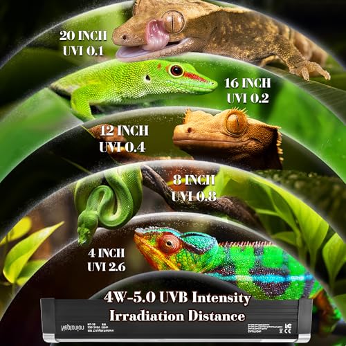 4W Reptile T5 HO UVB 6.5" 5.0 Light Fixture with Tube, Dedicated UVB Spot Hood for Terrariums, Suitable for Arid Reptiles Like Leopard Gecko - color: 5.0 Rainforest