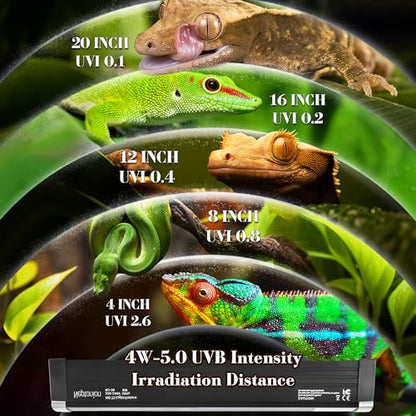 4W Reptile T5 HO UVB 6.5" 5.0 Light Fixture with Tube, Dedicated UVB Spot Hood for Terrariums, Suitable for Arid Reptiles Like Leopard Gecko - color: 5.0 Rainforest