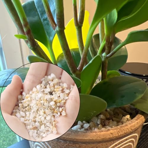 1 LB Fine Natural Silsand, Coarse Silica Sand for Plants, Aquariums, Fire Pits, Terrariums, Cactus and Succulent Plants & Garden Sand Grit - color: 1LB Silica Sand