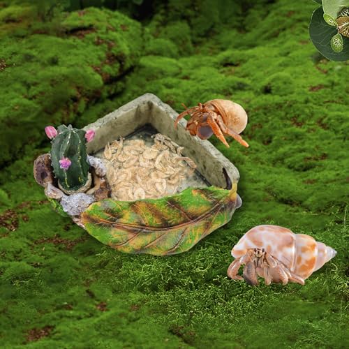 Hermit Crab Accessories, Resin Cactus Dish for Food or Water, Hermit Crab Water Bowl, Habitat Tank Accessories for Gecko, Hermit Crabs, Frog and Other Small Reptile