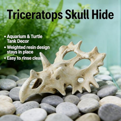 Triceratops Skull Reptile Hide for Bearded Dragons, Dinosaur Skull Terrarium Decor, Resin Cave Hideout for Lizards Snakes, Aquarium Tank Decoration (Medium) - size: Medium
