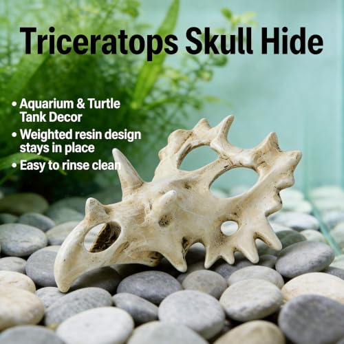 Triceratops Skull Reptile Hide for Bearded Dragons, Dinosaur Skull Terrarium Decor, Resin Cave Hideout for Lizards Snakes, Aquarium Tank Decoration (Large) - size: Large