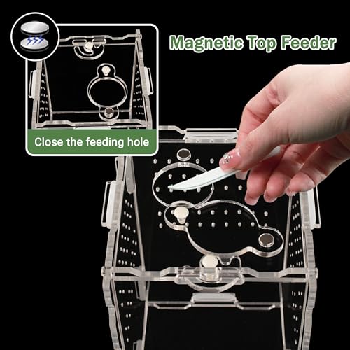 Jumping Spider Enclosure 5.1"x3.1"x3.1" – Magnetic Locking Lid, Front Opening Door, Feeding Port, Easy Assembly Habitat for Tarantula, Mantis, Small Reptiles (Accessories Not Included)
