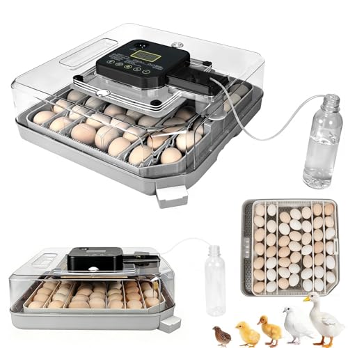 Series IV - 48 Egg Professional Incubator for Breeders, Automatic Sensor-Based Precise Humidity & Temp Control, Adjustable Spacing, Auto Turn & Auto Stop, Preset Incubation Days, Chick Separator - size: 48-Egg Gray