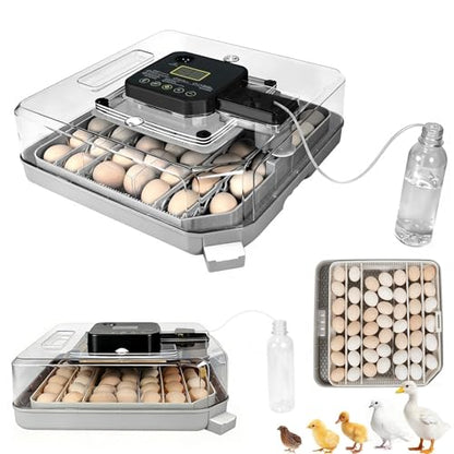 Series IV - 48 Egg Professional Incubator for Breeders, Automatic Sensor-Based Precise Humidity & Temp Control, Adjustable Spacing, Auto Turn & Auto Stop, Preset Incubation Days, Chick Separator - size: 48-Egg Gray