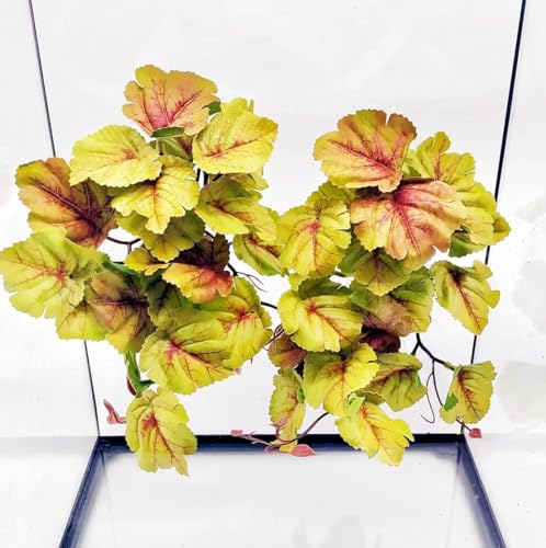 Reptile Plants for Terrarium, Reptile Tank Decor,Artificial Plants | Fake Plants for Ball Python Gecko Snake,Hanging Plant with Suction Cup,Amphibian Habitat Decor-2 pack - color: Heuchera Micrantha Yellow