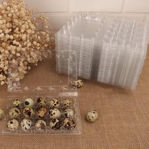 200 Pack Quail Egg Cartons, Clear Plastic Quail Egg Trays, Holds up to 15 Quail Eggs Securely - Your Ultimate Small Eggs Carton Holders for Bulk Storage and Display - size: 15 Grids