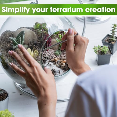 All-in-One DIY Terrarium Starter Kit for Air Plant & Succulent | Includes Potting Soil, Pumice, Zeolite, Green Moss, Sphagnum Moss, Decorative Stone, Mesh, Tools & Guide - size: Terrarium Kit