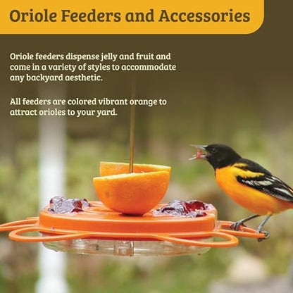 Birds Choice Flower-Shaped Oriole Feeder for Jelly & Oranges | 3oz, Orange | Removable Cup and Fruit Pegs with Heart Ornament, Sturdy for Garden and Backyard, Orange Finish - style: Flower