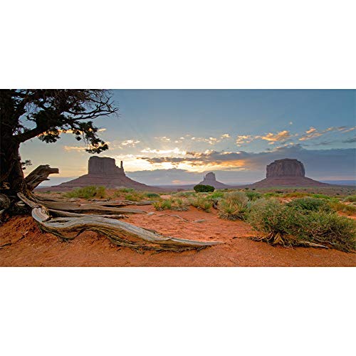 Leyiyi 72x16 inches Monument Valley Photography Background American National Park Navajo Tribal Park Western Desert Weathering Rock Warship Landmark Film Backdrop Polyester Terrarium Background - color: Desert2, size: 72x16in