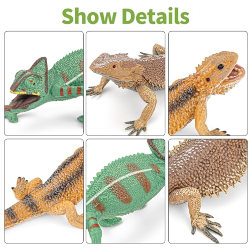 6PCS Large Lizard Figurines Rainforest Animal Toys, Realistic Plastic Reptile Animal Figurines, Includes Bearded Dragon,Fire Salamander,Chameleons,Coast Horned Lizard Toys, STEM Toy for Kids - style: 6PCS Lizards-2