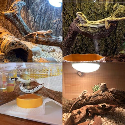 Reptile Decor 4PCS Natural Forest Branch Terrarium Habitat Wood Decoration Lizard Climbing Tree Branch for Bearded Dragon Gecko Snake Frog Chameleon Spider