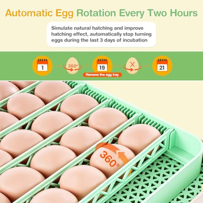 Sailnovo 48 Egg Incubator for Hatching Eggs with Auto Egg Turning, Precise Temp & Humidity Control, 360°Viewing, Egg Candler, Incubator for Chicken Eggs/Duck/Quail,Ideal for Farm/School/Lab,Green | Precise Temp & Humidity Control，Auto Egg Turning, 360°Vie