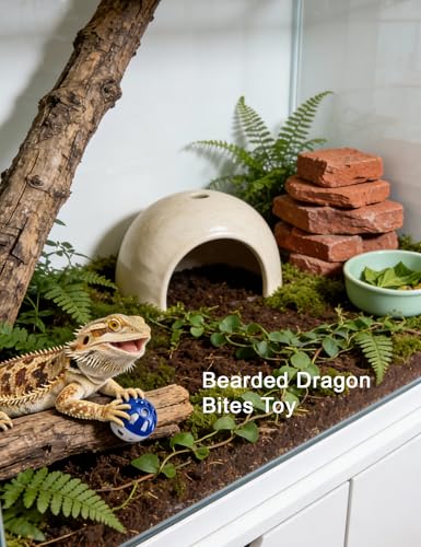 10-Pack Bearded Dragon Toy Balls, Non-Toxic PP, Bell Enrichment | Mealworm Stuffing Method, Hunting Instinct Activation, Boredom Reduction