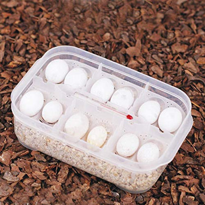 Reptile Breeding Box, Plastic Reptile Egg Incubators Hatchery Box with Transparent Lid for Hatching, Lizards, Lions Mane, Reptiles