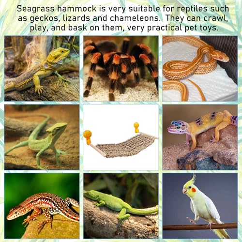 VCEPJH Bearded Dragon Hammock, Reptile Window Perch Natural Seagrass Gecko Climbing Tank Accessories Lizard Lounger Bed with Powerful Suction Cups Bearded Dragon Toys for Basking (11.81 * 7.08)