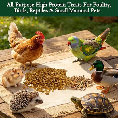 2LB Dried Mealworms +2 Preserved Worm Packs for Chickens & Birds | High-protein treat for chickens, ducks, wild birds, reptiles, turtles & fish