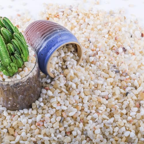 CJGQ 7lb Aquarium Gravel for Plants, 1/5Inch Outdoor Decorative River Rocks for Succulents and Cactus Landscaping, Garden Plant Rocks Natural Small Rocks Pea Gravel for Fish Tank Vases Terrarium - size: 7 LB
