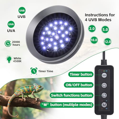 UVB Light for Reptiles with Dimming, LED UVB Light Bulb Fixture for Bearded Dragon Gecko Lizard Turtle Snake, Adjustable Brightness UVA UVB Lamp for Tropical & Desert Reptile Tank Accessories 8W Grey - size: 8W-Grey