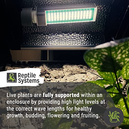 Reptile Systems New Dawn LED Compact – Balanced 6500K 9w Light for Enclosure Illumination – Compact Fixture for Terrariums & Vivariums – Enhances Clarity & Display - size: 9 Watts