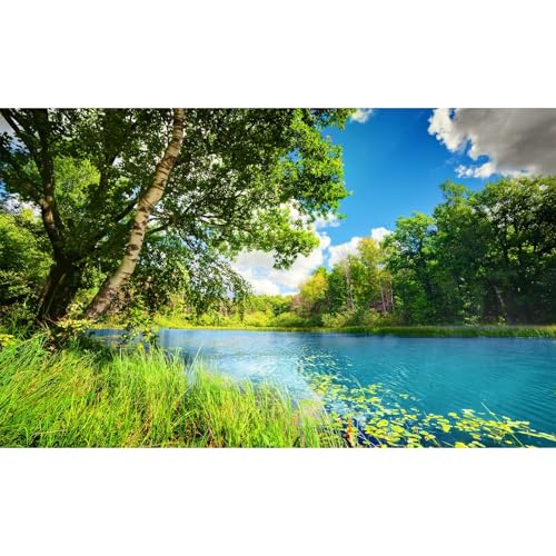 Tranquil Lake Aquarium Background Picturesque Springtime Green Forest Fish Tank Background Stunning Summer Mountain Woodland Terrarium Backgrounds Scenic Lake Blue Sky Reptile Tank Backgrounds 24x12in - color: Warm Green, size: 24(W)x12(H)in