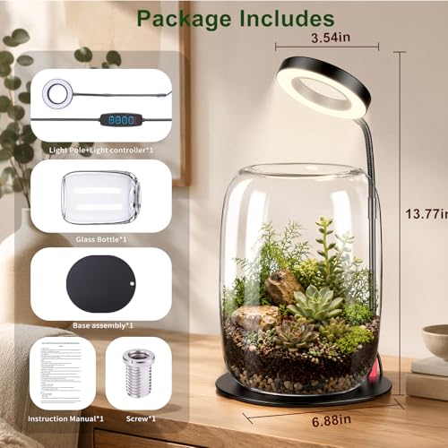 Desk Grow Light with Glass Terrarium, 5X Aperture | Full-spectrum LED, 3 modes, 10 brightness levels, USB power, 28-43 cm pole, 90° rotating head, for moss and succulents - size: 5X magnification