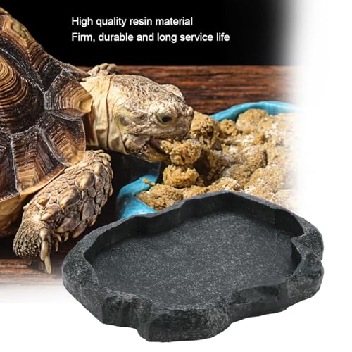 Reptile Water Dish, Resin Feeding Bowl for Tortoise | Made of durable resin, safe for snakes, lizards, iguanas, frogs, and other amphibians. Ideal for feeding and drinking.